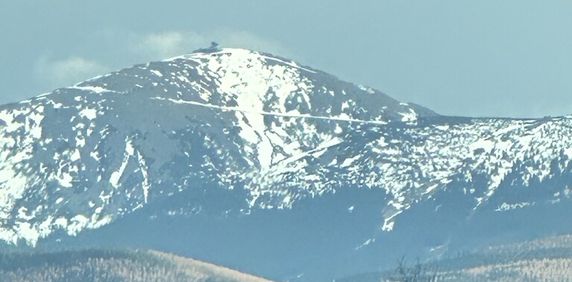 (Symbol 438819) - Photo 2