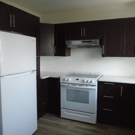 6 ½ rue Notre Dame Laval 5 électros Inclus LIBRE - Photo 3