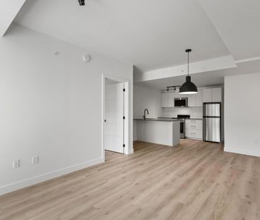 3 Bedroom Townhouse - 1133 Avenue Viger Est, Montréal - Photo 2