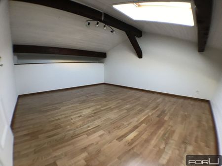 Superb atypical penthouse in the Vieux-Carouge - Photo 2