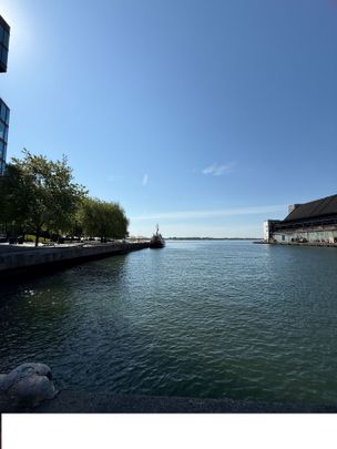 For Lease - 15 RICHARDSON Street Unit# 727, Toronto, Ontario - Photo 1