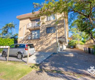 Stunning Unit in Indooroopilly Hot Spot - Photo 6