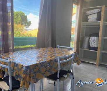 Location Appartement 2 pièces 22m² LE BARCARES 66420 - Photo 4