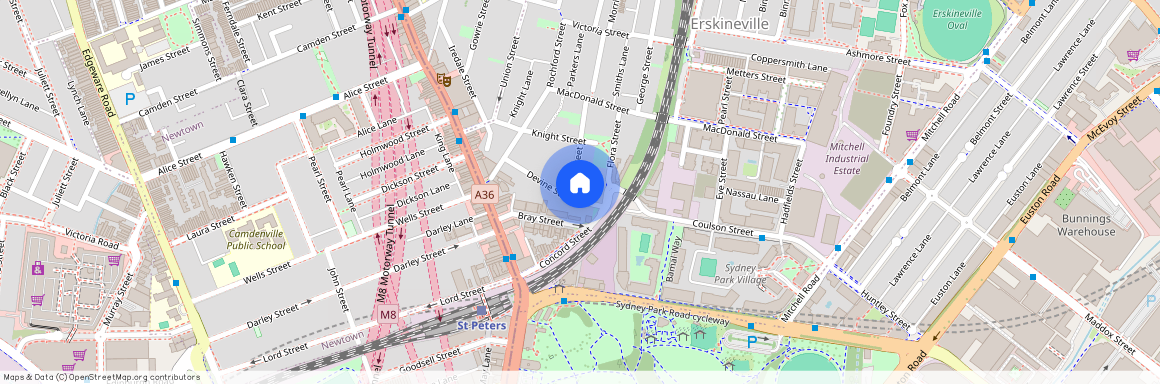 44 Amy Street Erskineville, NSW 2043