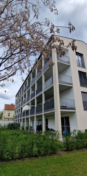 Prangelgasse 25/8 - Moderne Kleinwohnung mit Balkon in Toplage - Foto 1