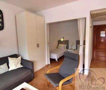 Apartamento de alquiler en Almacigo, 2, Zona Botánico - Photo 3