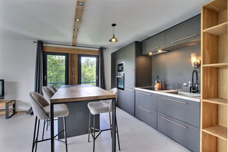 Location Appartement 2 pièces 50m² ANNECY 74000 - Photo 4