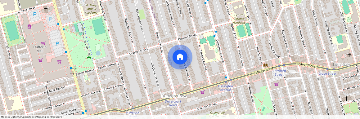 42 Delaware Avenue Unit# LOWER, Toronto