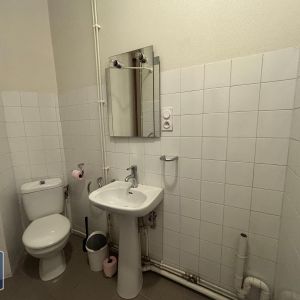 Location Appartement 1 pièce 21m² GRENOBLE 38000 - Photo 2