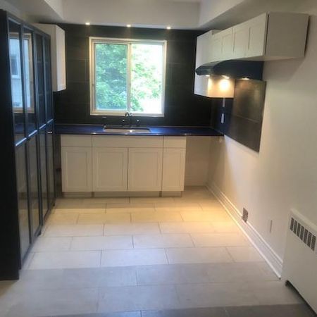 4 1/2 - Montréal (Saint-Laurent) - 1 700 $/mois - Photo 4