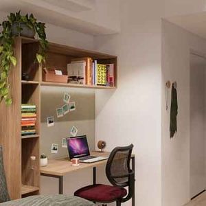 Studio Queen - Photo 2