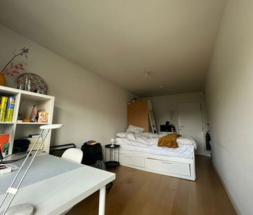 Kamer eigen sanitair en terras - Central Park - Photo 2