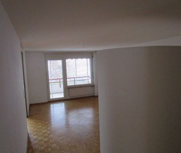 Apartment - Photo 6