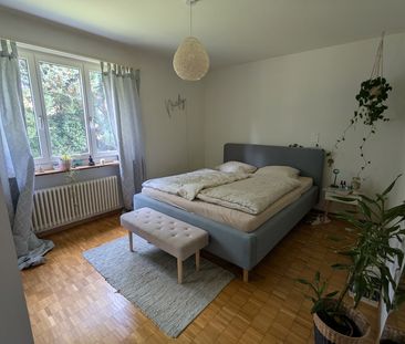 3 Zimmer, 60 m², EG - Photo 3
