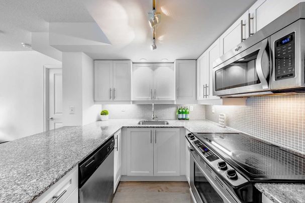 For Lease - 85 East Liberty Street Unit# 729, Toronto, Ontario - Photo 1