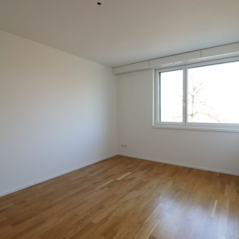Moderne 3.5-Zimmerwohnung an ruhiger Lage zu vermieten - Foto 1