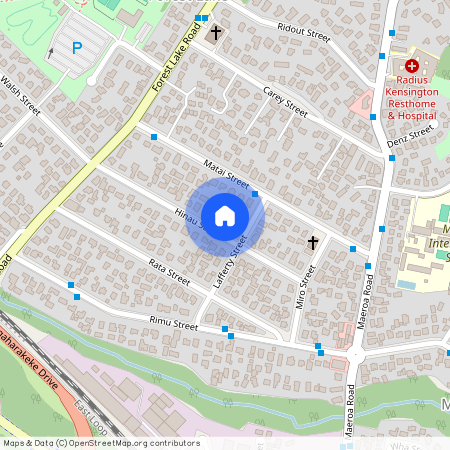 16 Hinau Street, Maeroa, Hamilton City