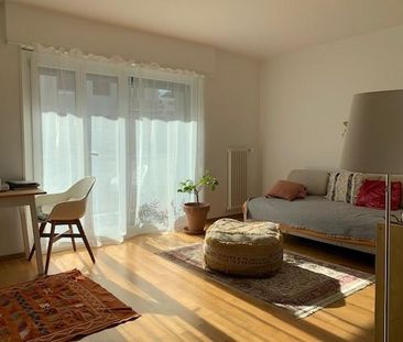 Magnifique appartement traversant de 3.5 pièces au 1er étage avec d... - Foto 6