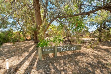 16/12 Wilkins Street, Mawson - Photo 4