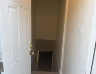 Brand new basement in Huntington Hills For Rent | Calgary - Photo 1