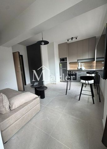 Studio/Γκαρσονιέρα για ενοικίαση Επτάλοφος (Αμπελόκηποι) - Photo 2