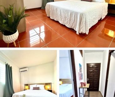 Location Appartement 2 pièces 45m² CAYENNE 97300 - Photo 2