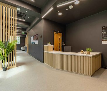 Classic Studio - Photo 5