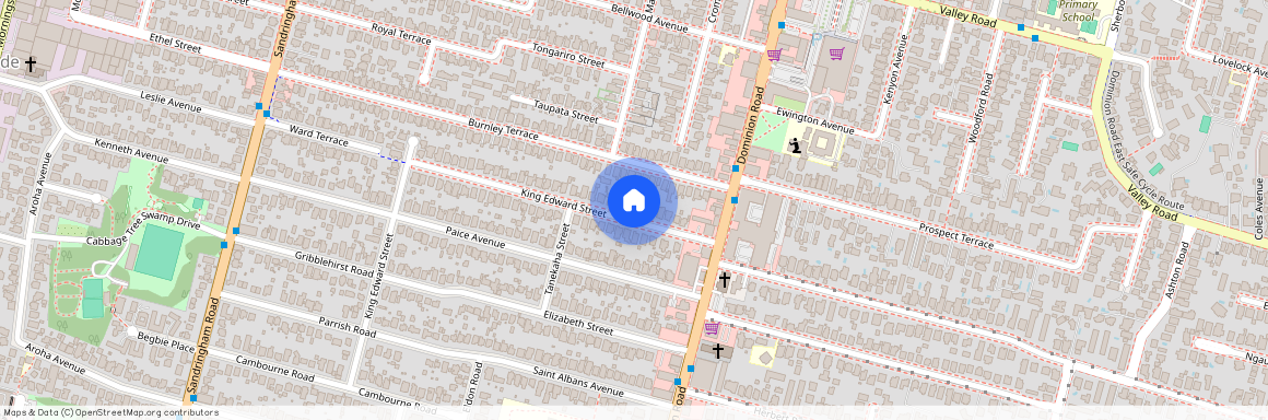 Mt Eden, 13 King Edward Street, Auckland