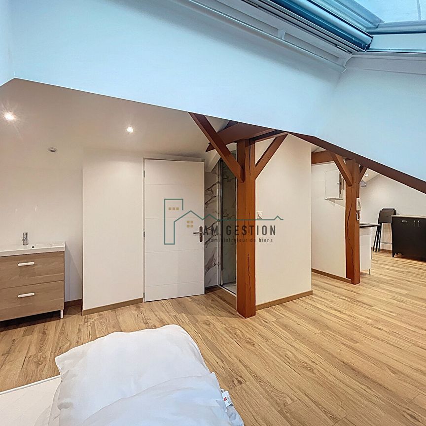 Location Appartement 1 pièce 20m² - Photo 1