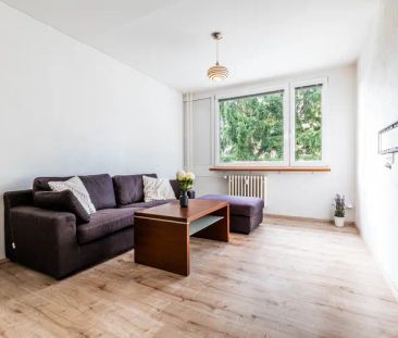 Pronájem bytu 2+kk, Na Radosti, Hořovice, parkovací stání, komora, ... - Fotografie 1