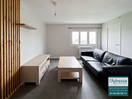 Location appartement 3 pièces, 79.76m², Vaugrigneuse - Photo 1