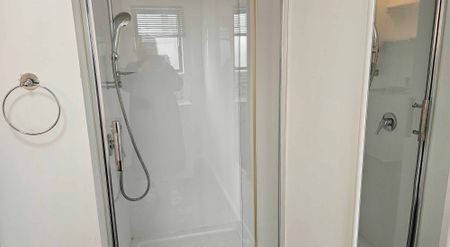 PERRY ST, MASTERTON, 3 BDRMS - $400pw - Photo 4