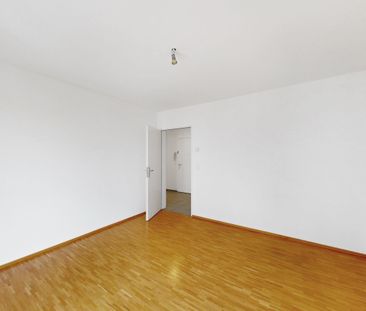 Living on the Rhine River - Photo 2