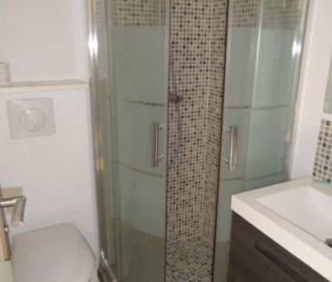 Location Appartement 1 pièce 20m² LILLE 59000 - Photo 4