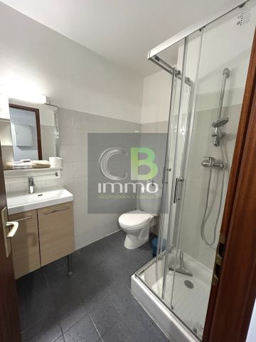 Location Appartement 1 pièce 28m² BRY SUR MARNE 94360 - Photo 4