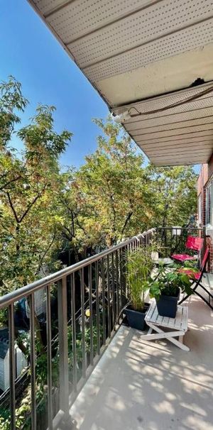 Studio - Montréal - $945 /mo - Photo 1