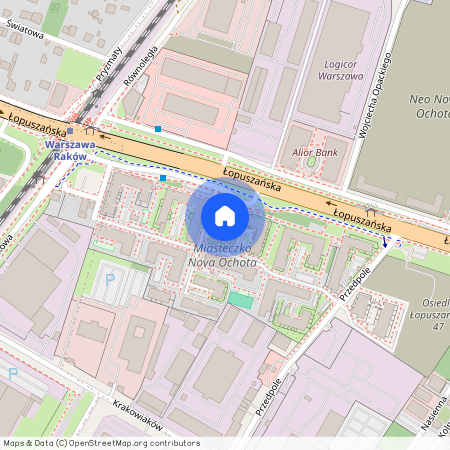 ul. Łopuszańska, Raków, Włochy, Warszawa, mazowieckie