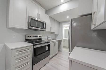 Edmonton Unfurnished apartment Rental in Cavanagh - New Lower Level Unit With In Suite Laundry - Photo 4