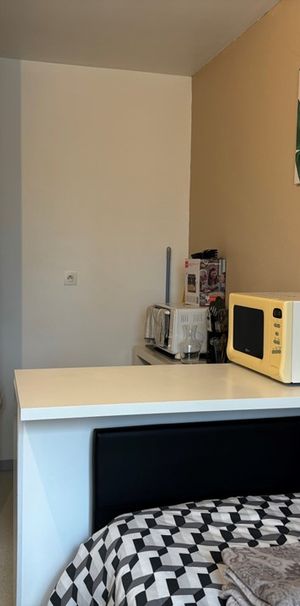 Location Appartement T 1 - Rennes - Beaulieu - Photo 1