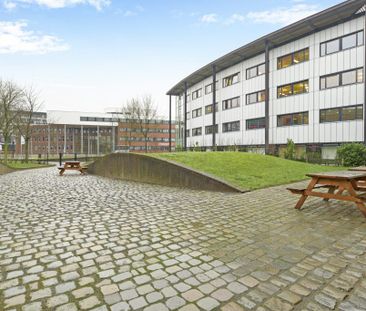 Wij Boreel - Photo 2