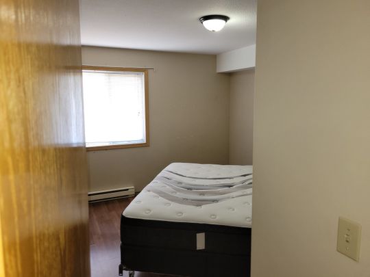Spacious 2-Bedroom, 2-Bathroom Condo - Photo 1