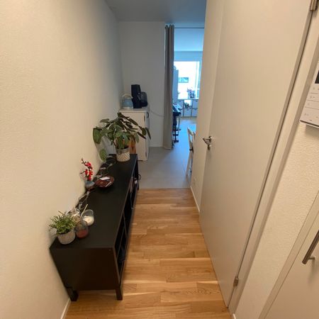1 Zimmer, 30 m² - Foto 4