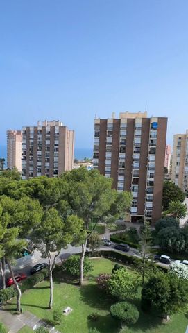 Piso de alquiler en Calle Gustavo a. Becquer, 1, Campoamor - Photo 3