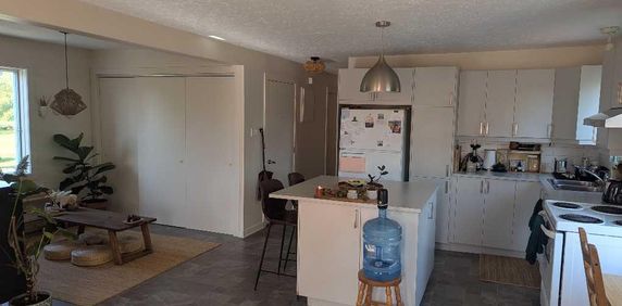 Colocation 🌞 Lumineuse et Joyeuse ! 5 1/2 Sutton - Photo 2