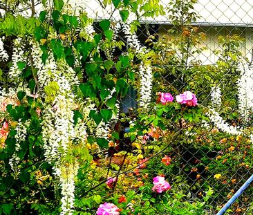 Short Term Pet Friendly Heritage Holiday Home. - Photo 2