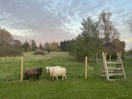 Fjärestadsvägen, Vallåkra - Photo 4