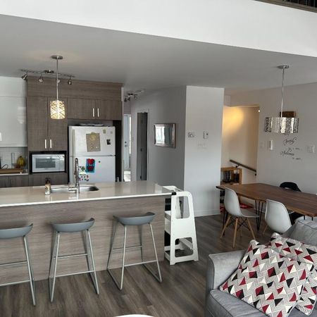 À louer – Magnifique condo 5 ½ – 1650 pi² avec mezzanine - Photo 3