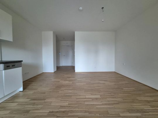 Lebensqualität im Einklang mit der Natur: Jakomini Verde in Graz - ERSTBEZUGSWOHNUNGEN - Photo 1