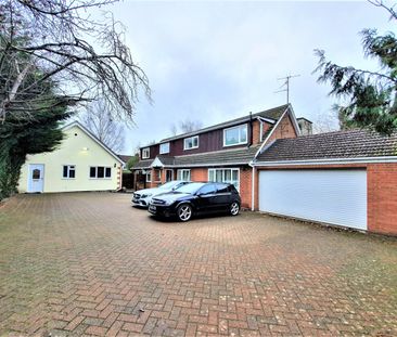 2 Bed Bungalow, Mountfield Road, LU2 - Photo 5