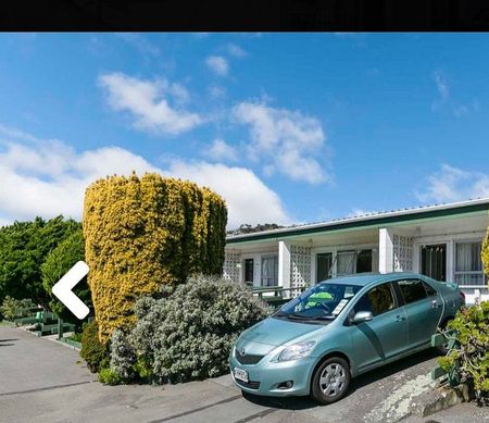 1BR Unit in Central Johnsonville - Photo 2